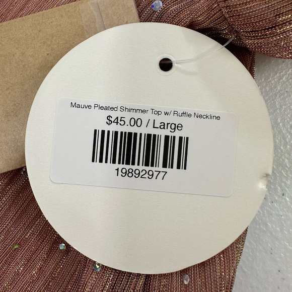 NWT Umgee Mauve Shimmer Pleated Sheer Blouse Long Sleeve Ruffle Mock Neck - Picture 10 of 11